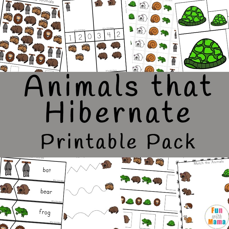 Free Hibernation Worksheets For Kindergarten