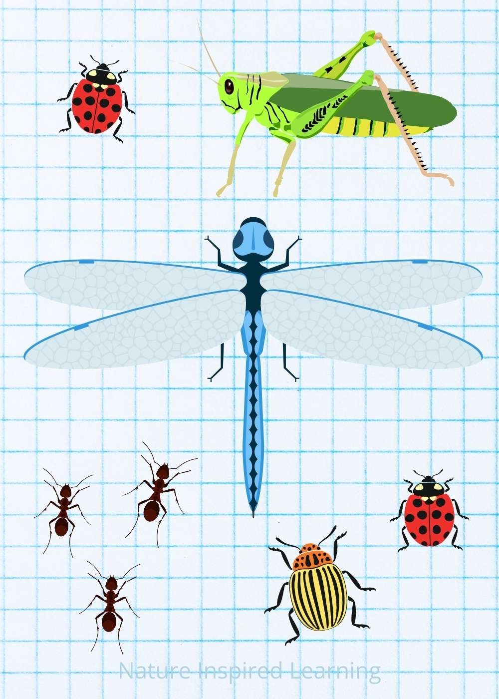 Insect Books For Preschoolers Printable Insect Books For Preschoolers Printable