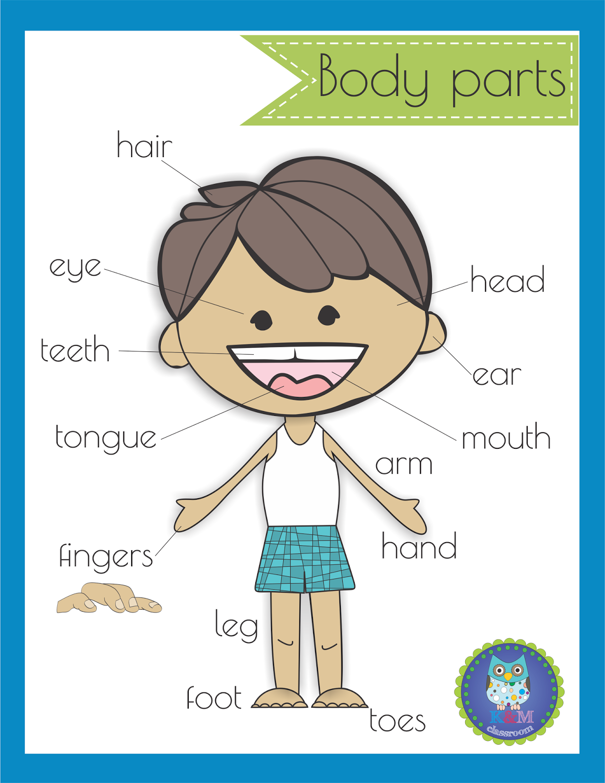 Preschool Body Parts Free Printables