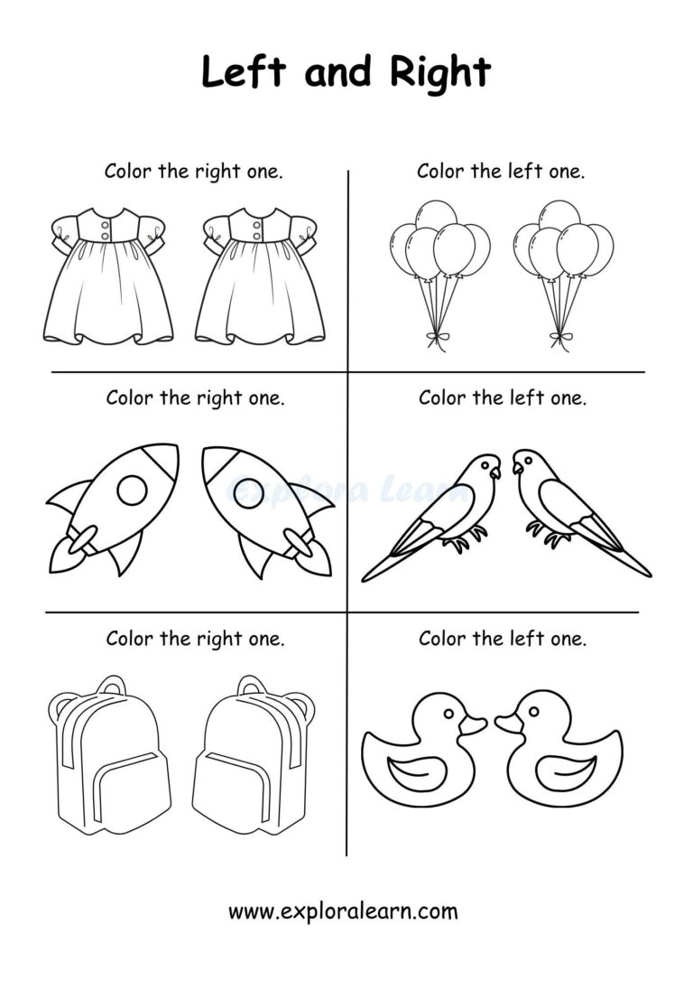 Left And Right Comparison Worksheets For Preschool And Kindergarten 2 To 6 Years Kids