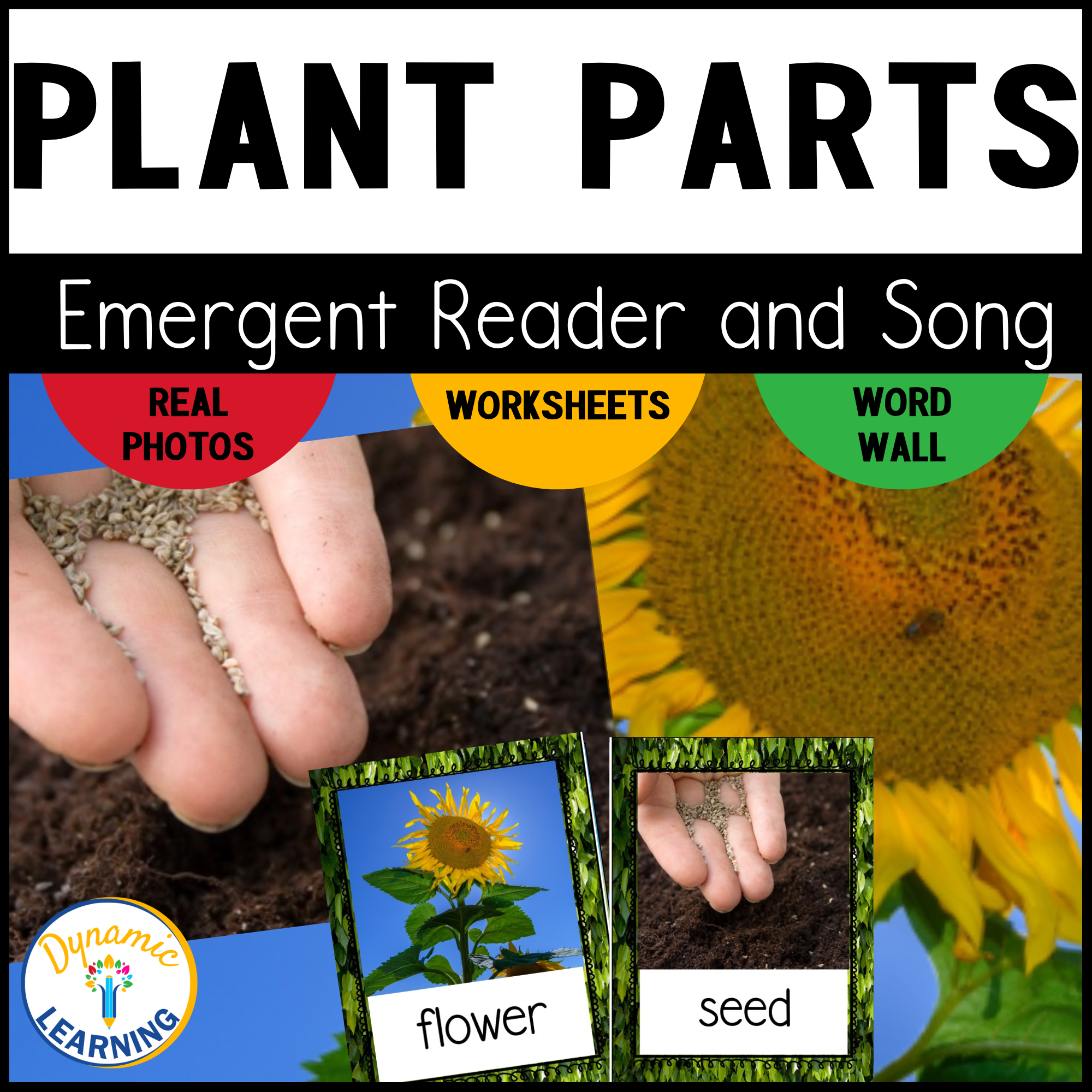 Life Cycle Of A Plant Plant Parts Reading Comprehension With Worksheets Dynamic Learning