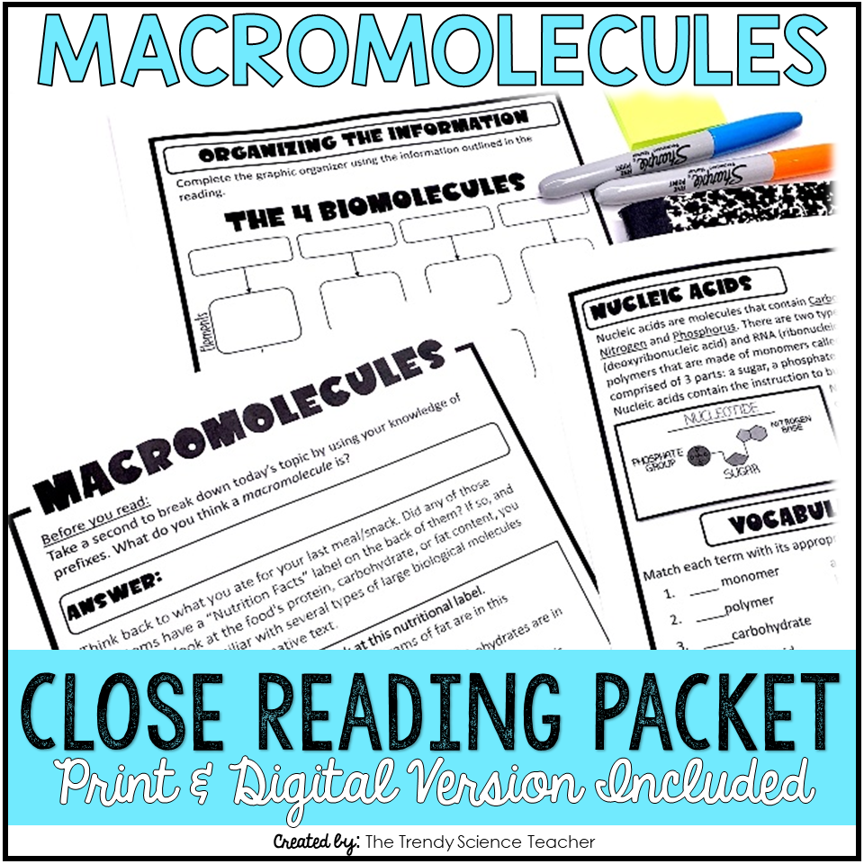 Macromolecules Reading Comprehension Worksheets