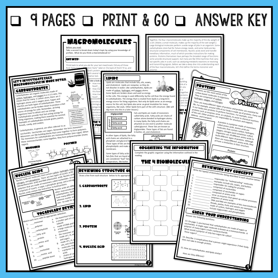 Macromolecules Close Reading Assignment Print And Digital The 