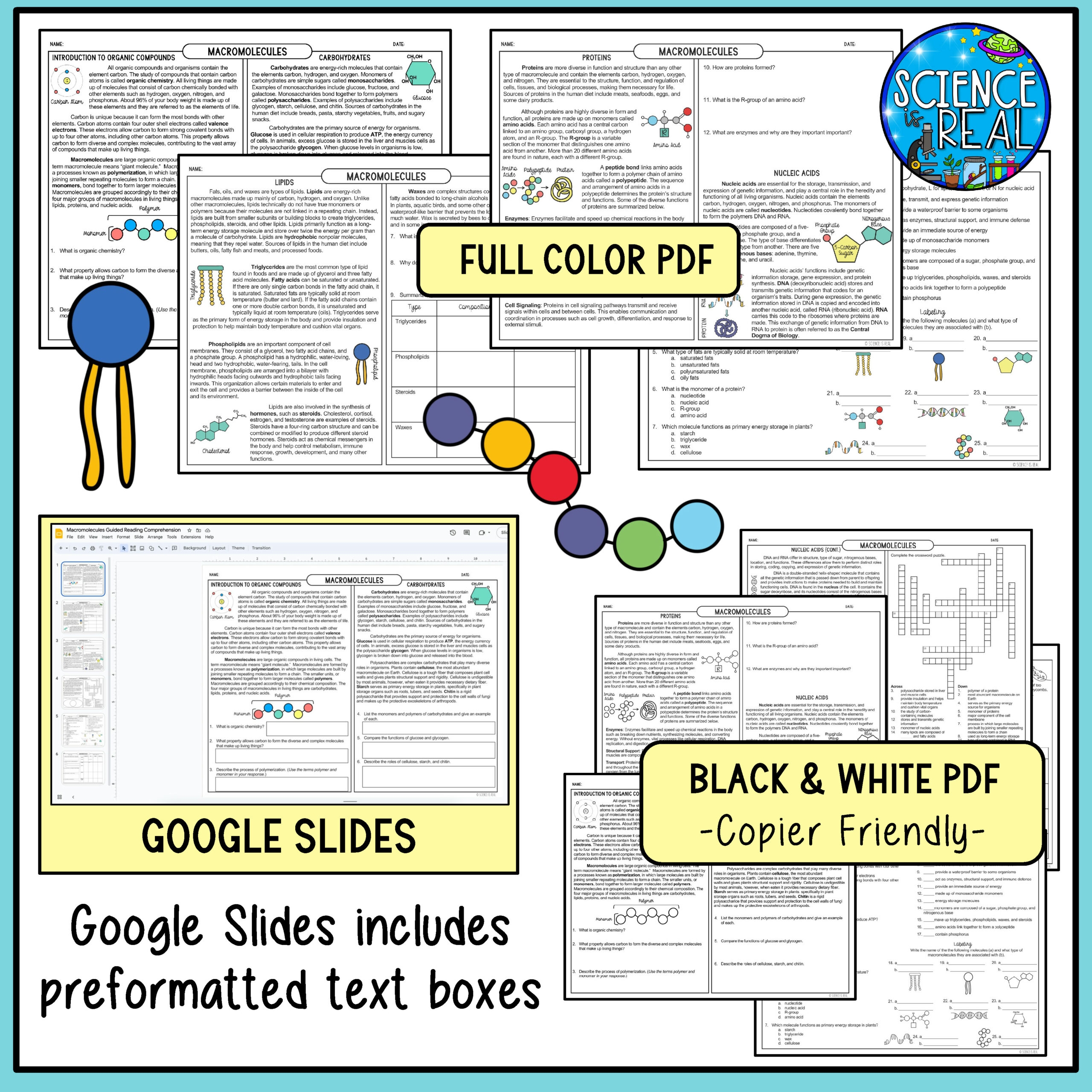 Macromolecules Guided Reading Comprehension With Questions And 