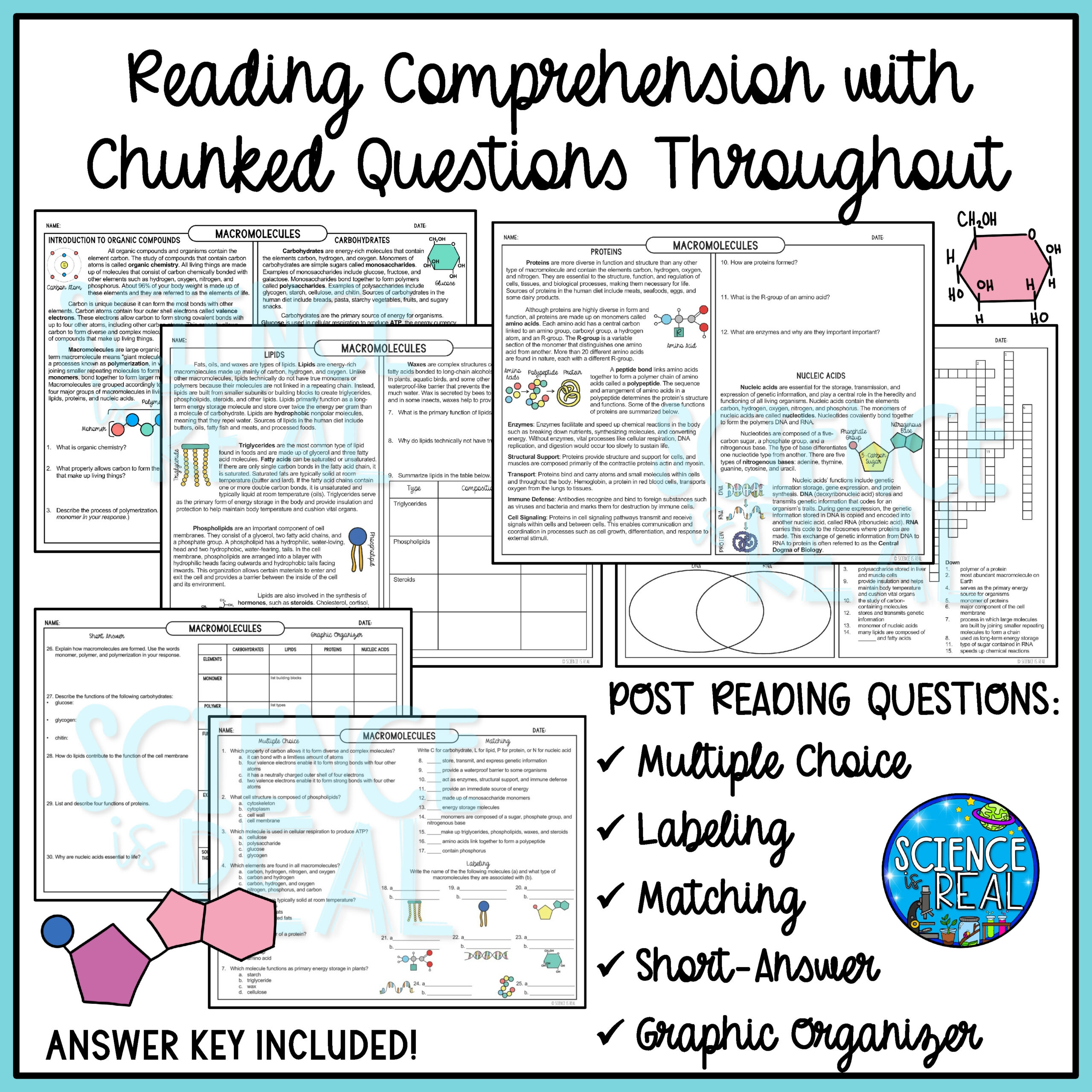 Macromolecules Guided Reading Comprehension With Questions And 