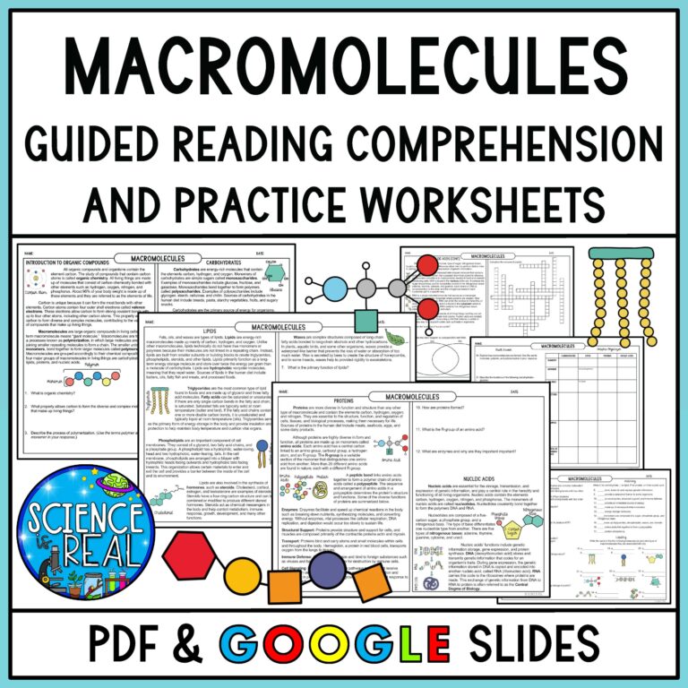 Macromolecules Guided Reading Comprehension With Questions And