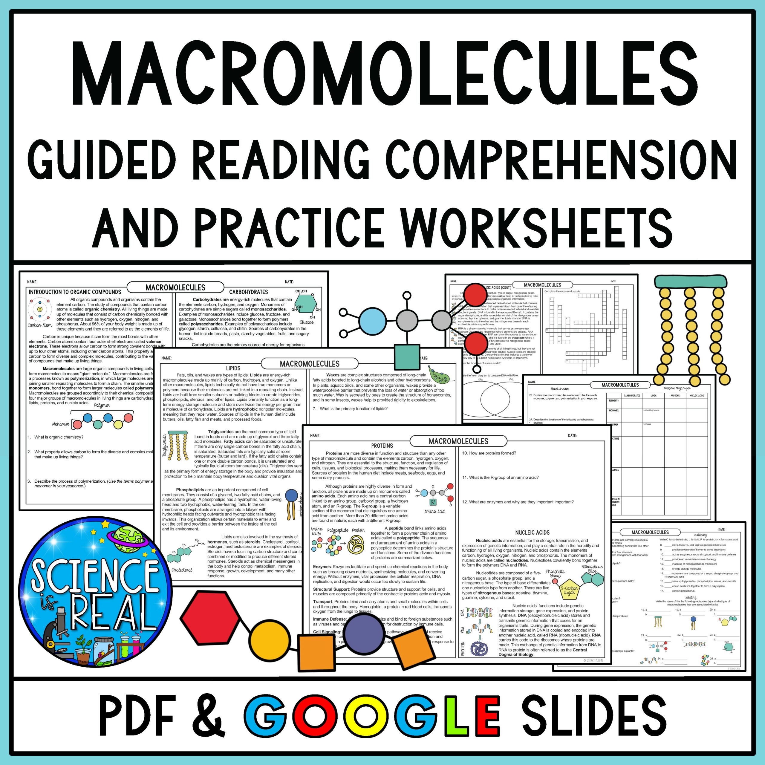 Macromolecules Guided Reading Comprehension With Questions And 