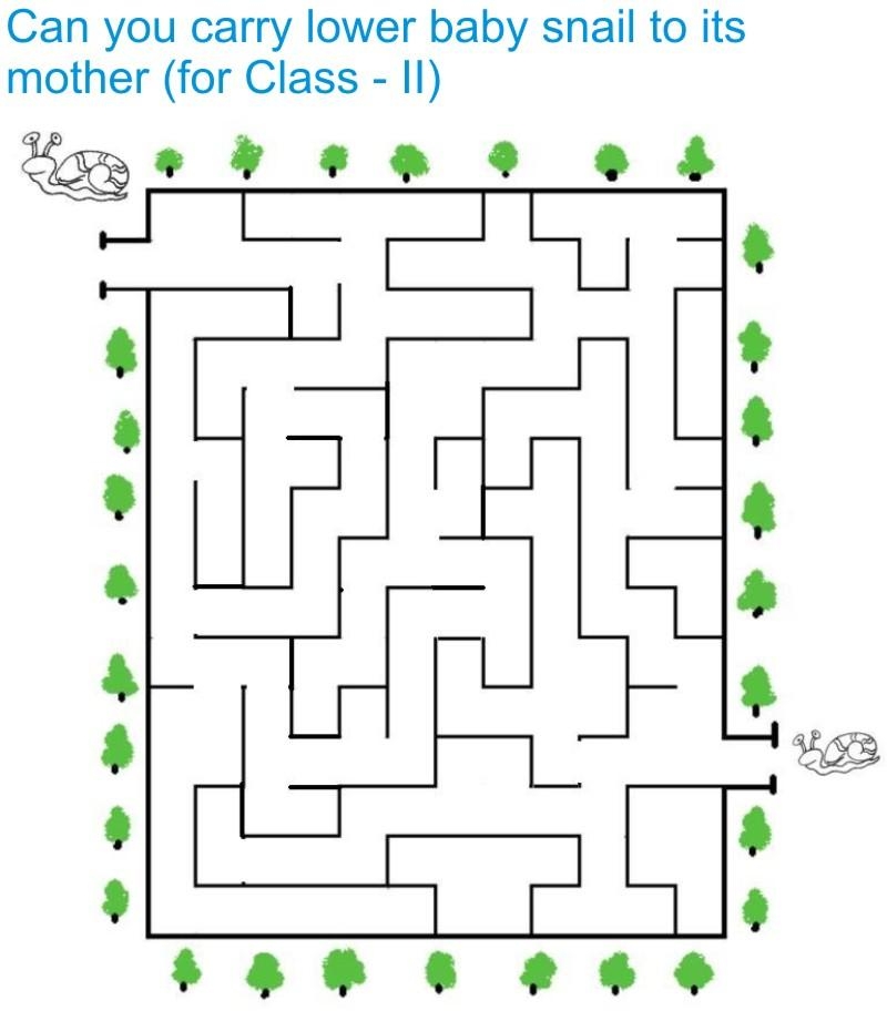 Maze For Class II Students Maze For Class II Students