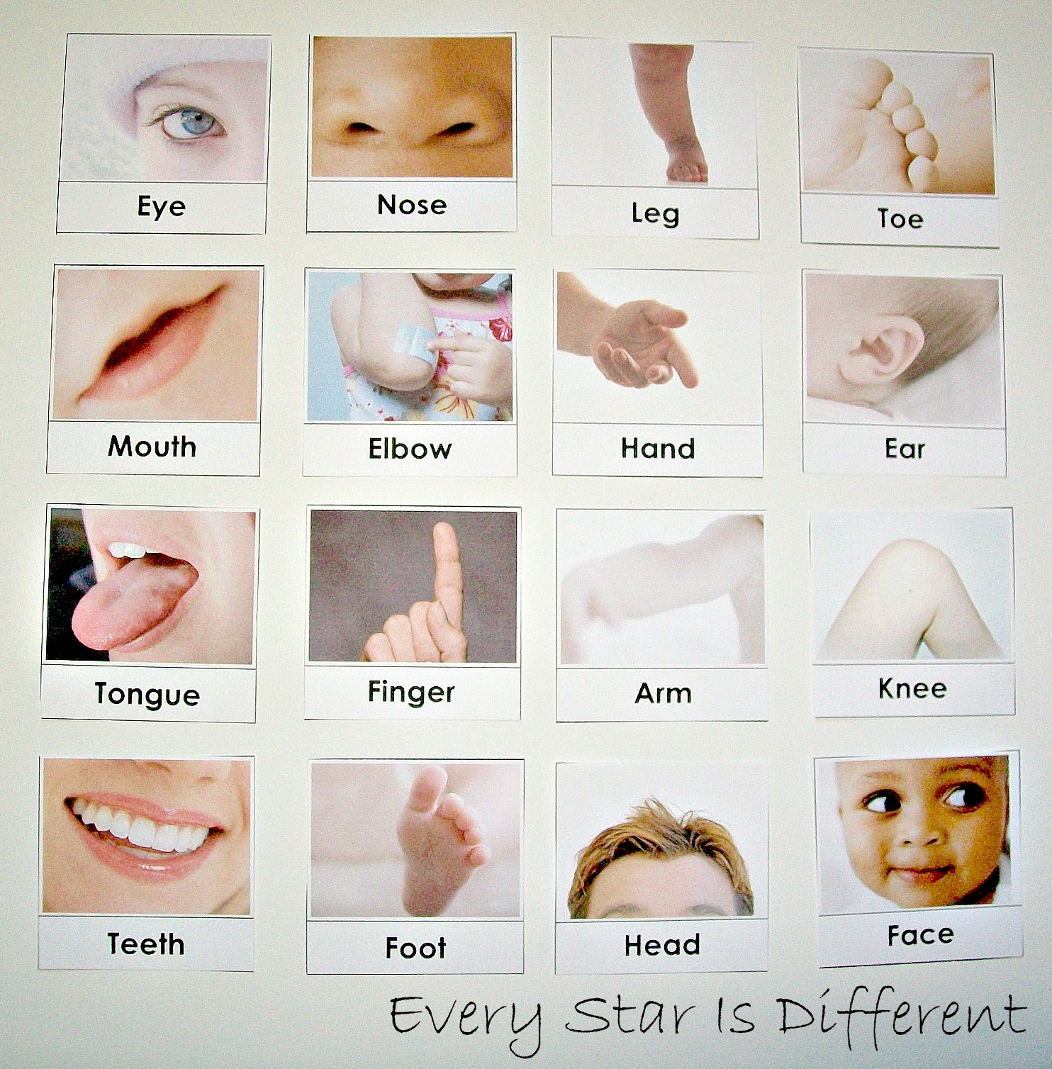 Free Human Body Printables For Preschoolers
