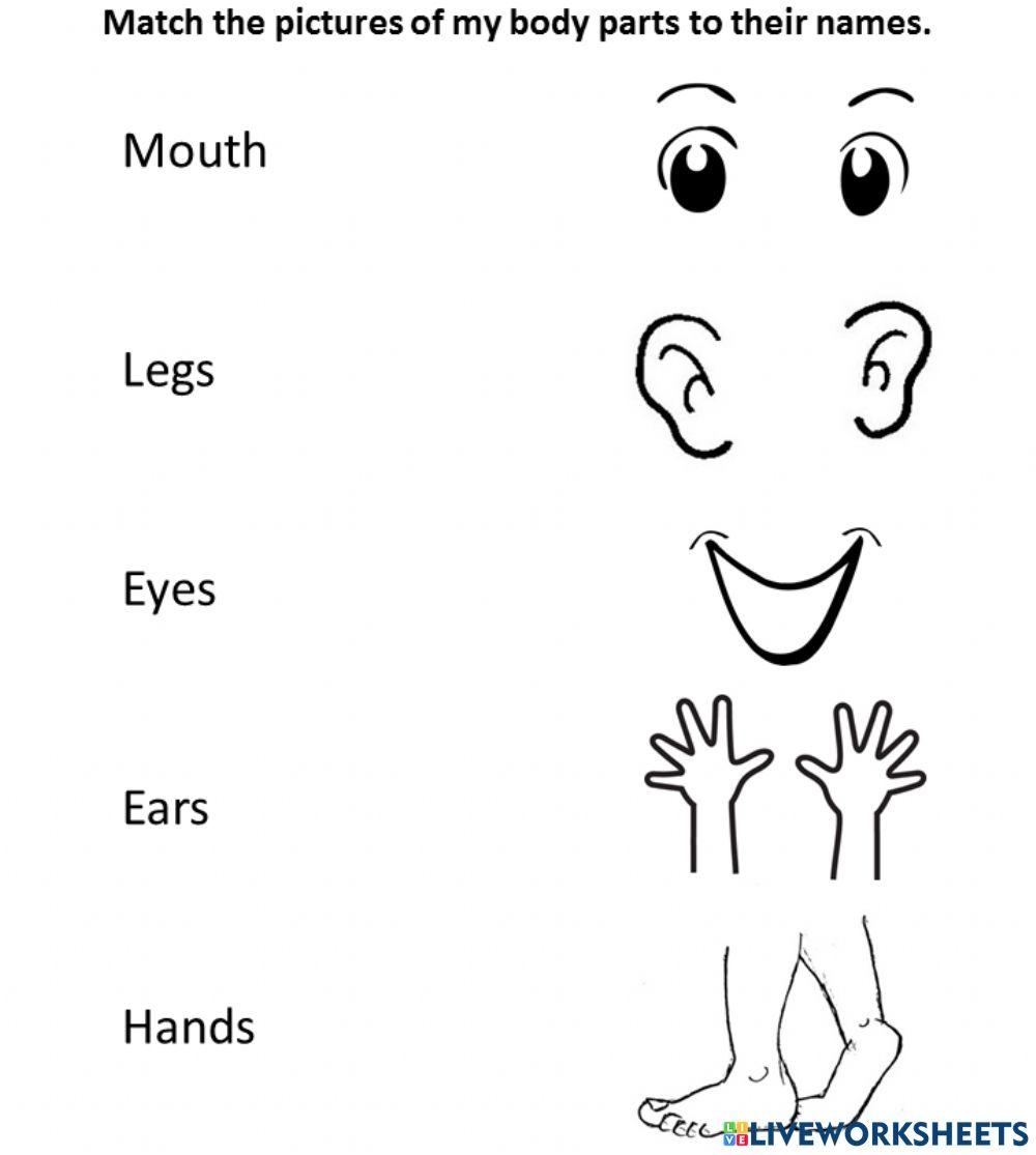 My Body Online Exercise For Preschool Live Worksheets Worksheets Library