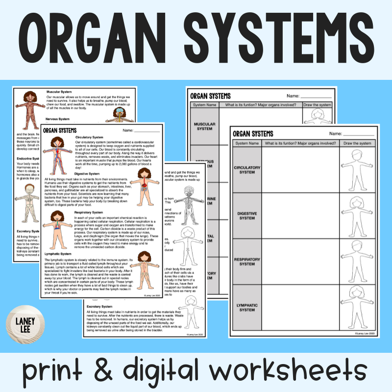 Organ Systems Guided Reading Organ Systems Guided Reading