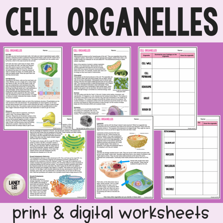 Organelles Reading Comprehension Worksheets Laney Lee