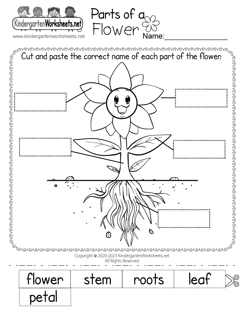 Free Printable Kindergarten Science Worksheets