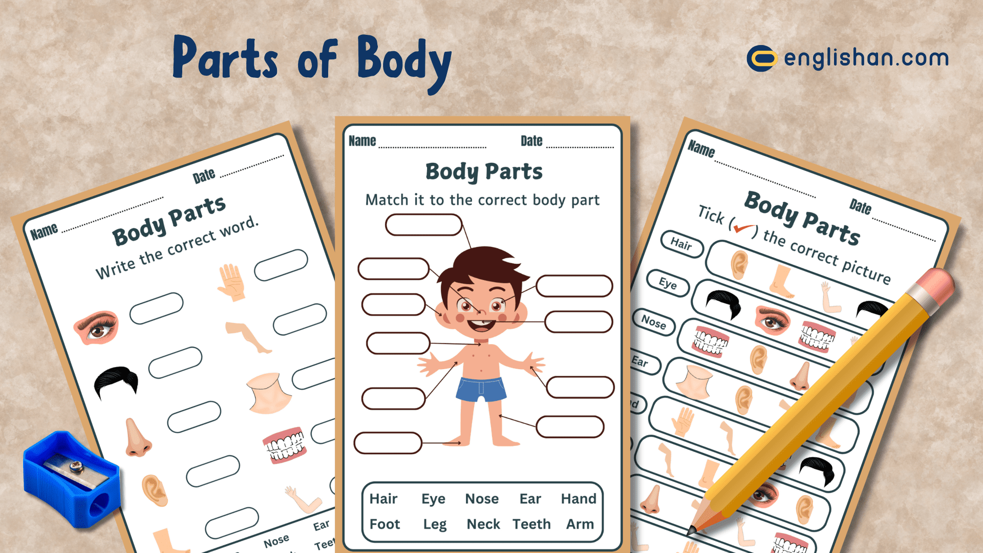 Free Printable My Body Worksheets Free Printable My Body Worksheets