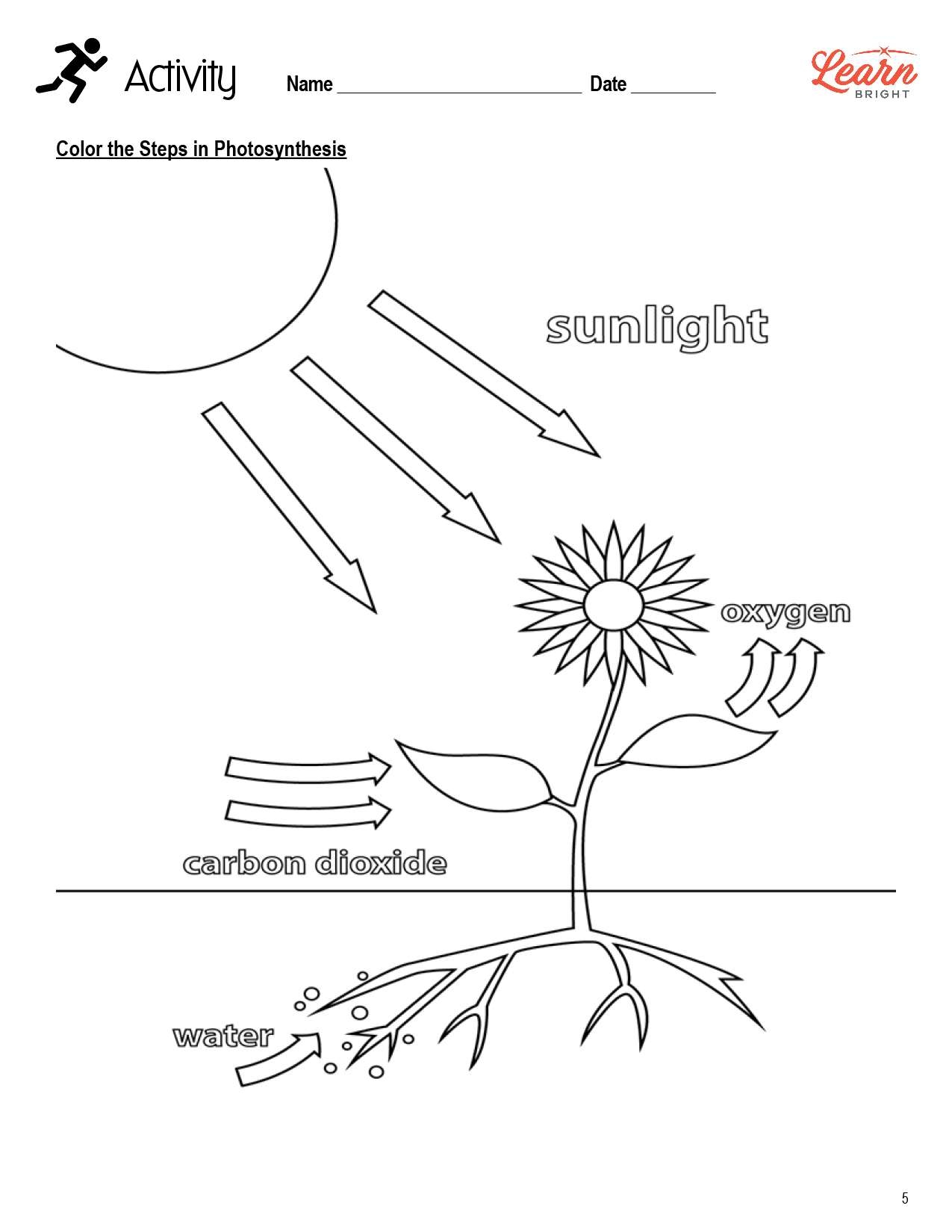 Photosynthesis Free PDF Download Learn Bright Photosynthesis Free PDF Download Learn Bright