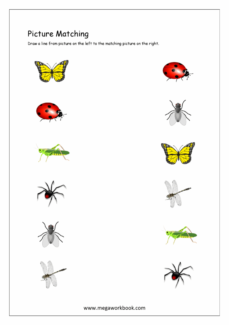 Picture Matching Worksheets For Preschool Free Logical Thinking Printables For Kids MegaWorkbook