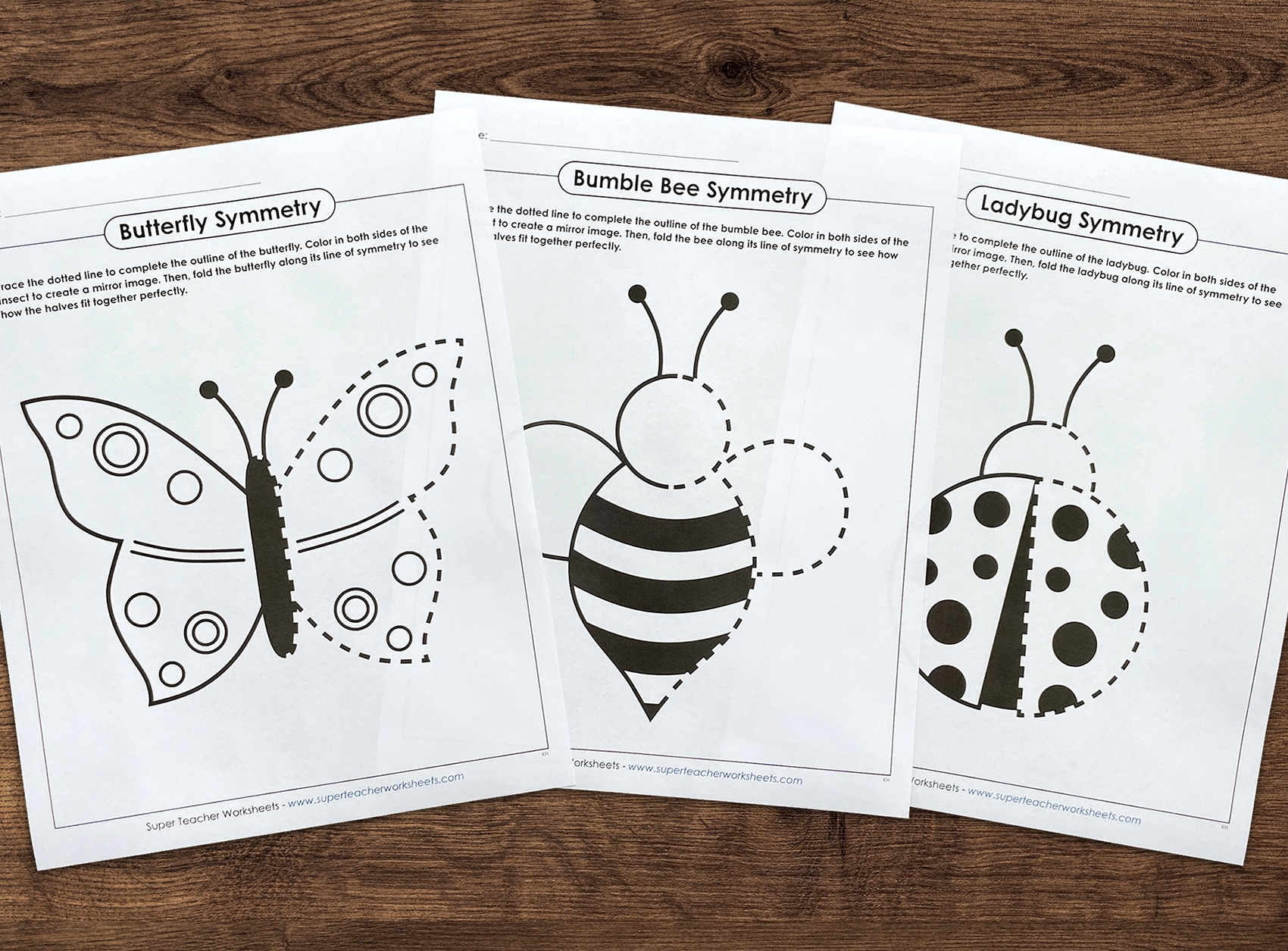 Practice Symmetry With A Springtime Activity