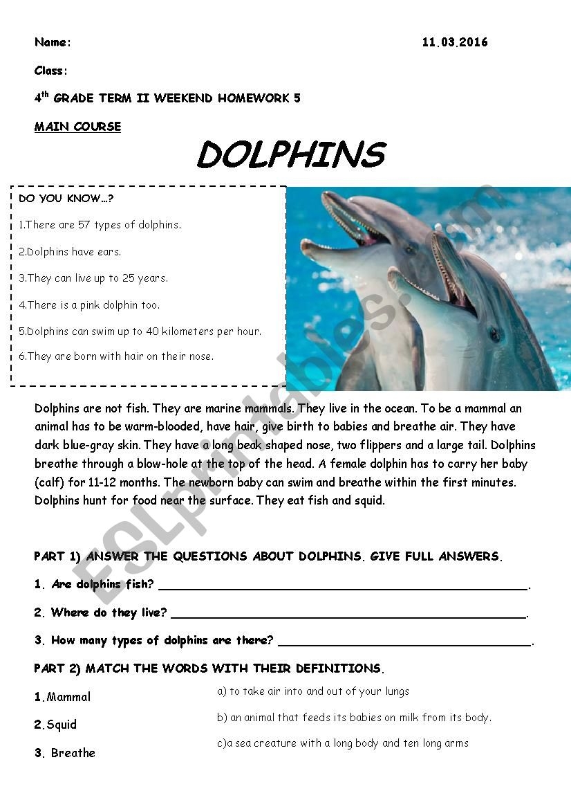 Reading Comprehension Worksheet Dolphins Reading Comprehension Worksheet Dolphins