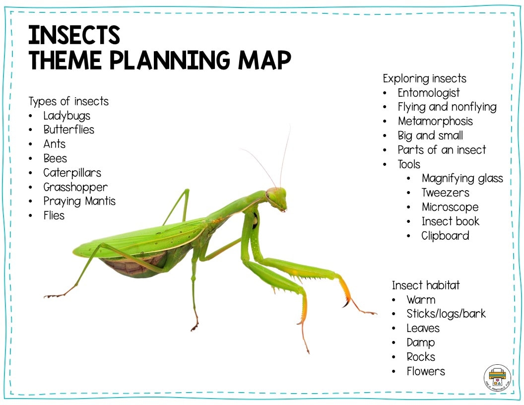 Preschool Insects Lesson Planning Ideas Pre K Printable Fun Preschool Insects Lesson Planning Ideas Pre K Printable Fun
