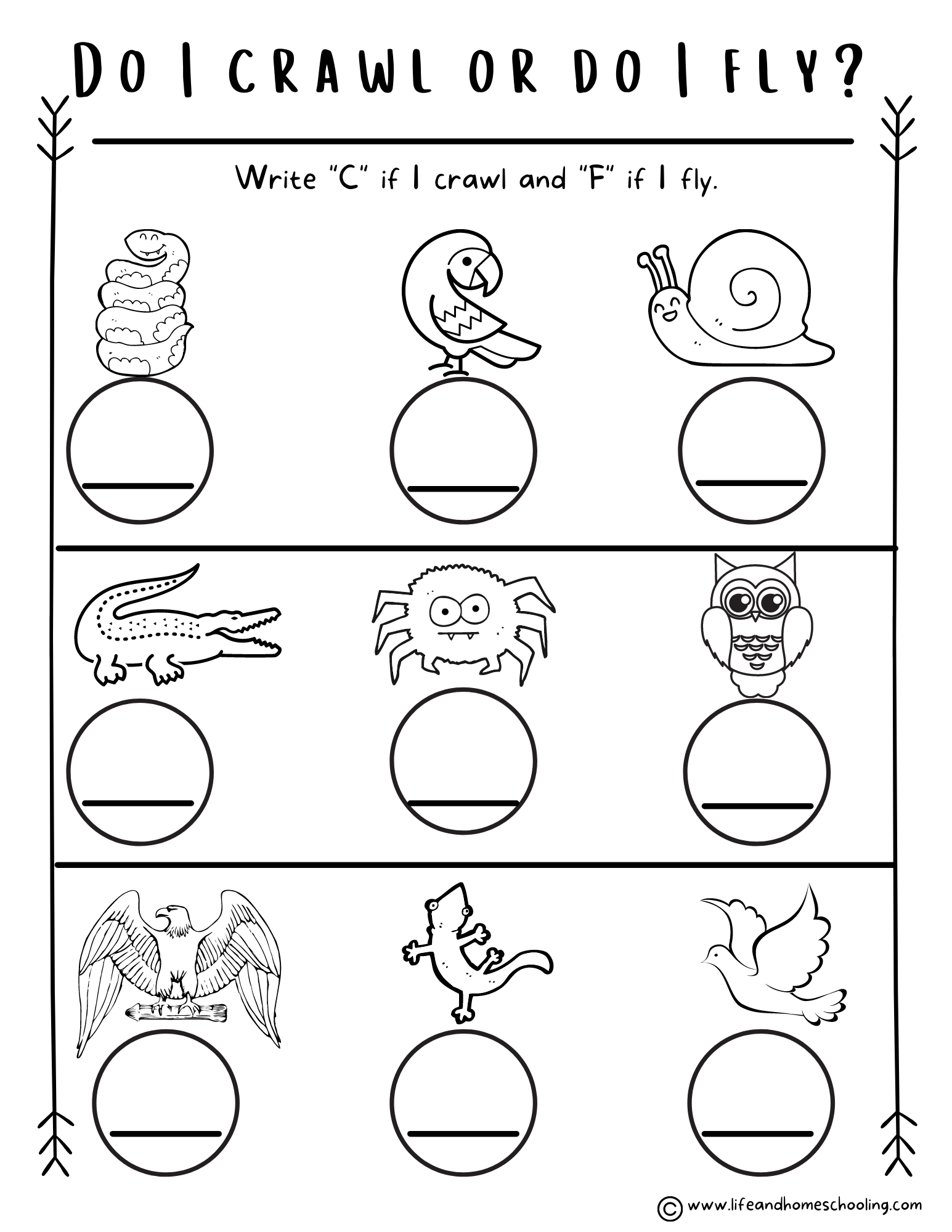 Preschool Kindergarten Animal Worksheets Made By Teachers Preschool Kindergarten Animal Worksheets Made By Teachers