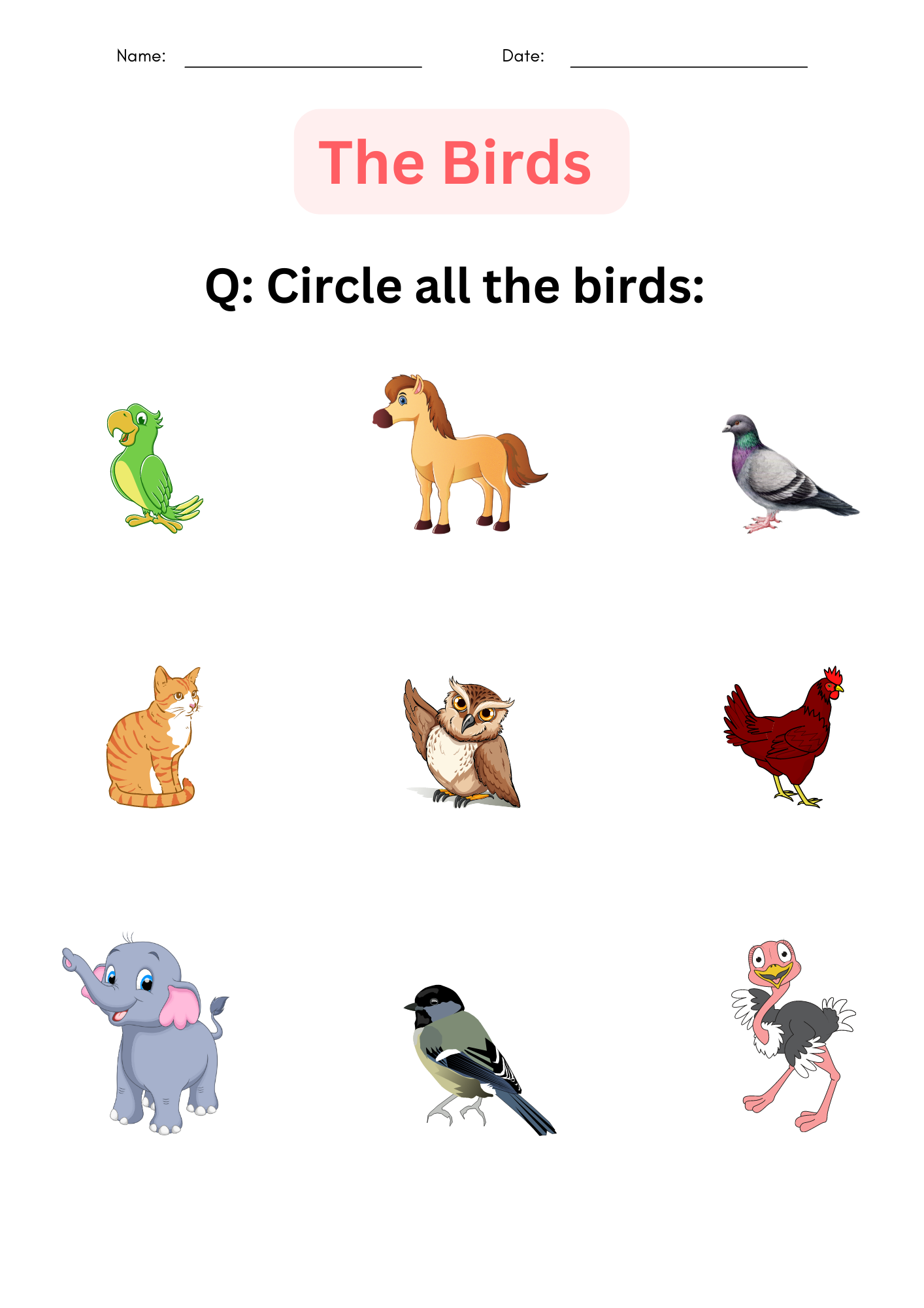 Printable Matching And Identify Birds Worksheet For Kindergarten Made By Teachers Printable Matching And Identify Birds Worksheet For Kindergarten Made By Teachers