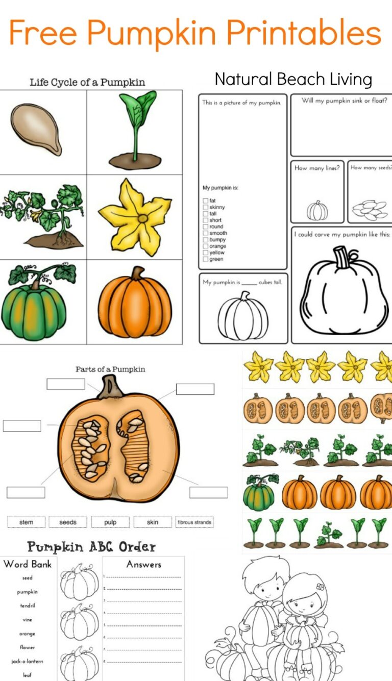 Pumpkin Activities For Kids Pumpkin Lesson Plans STEM Natural Beach Living