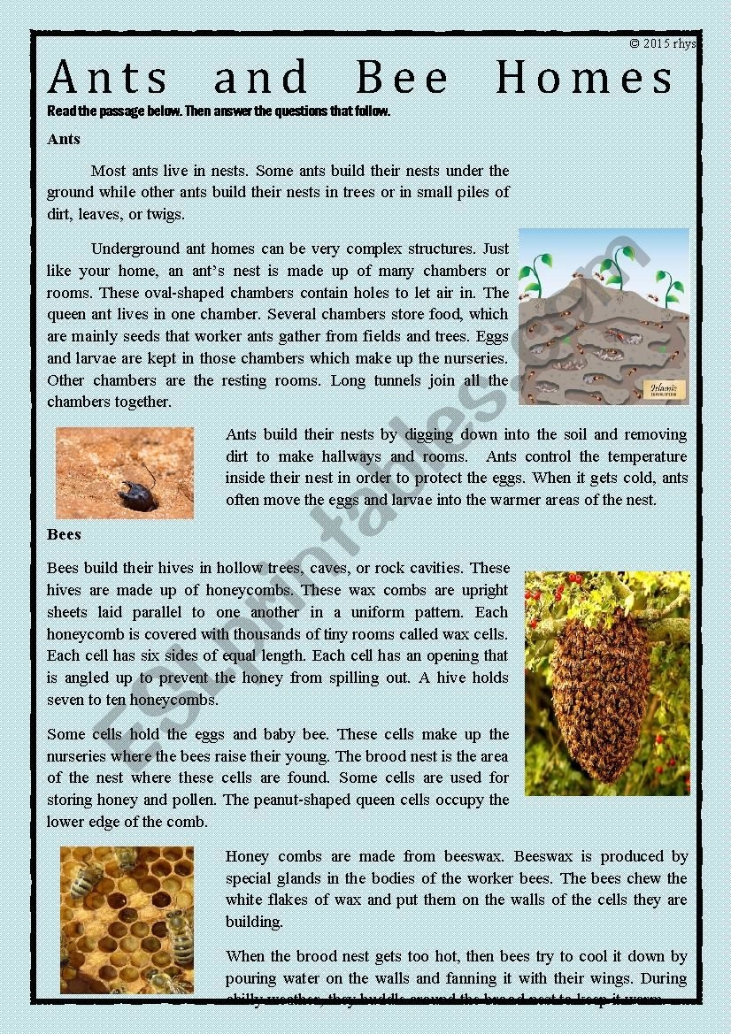 Reading Comprehension Compare And Contrast ESL Worksheet By Rhys00