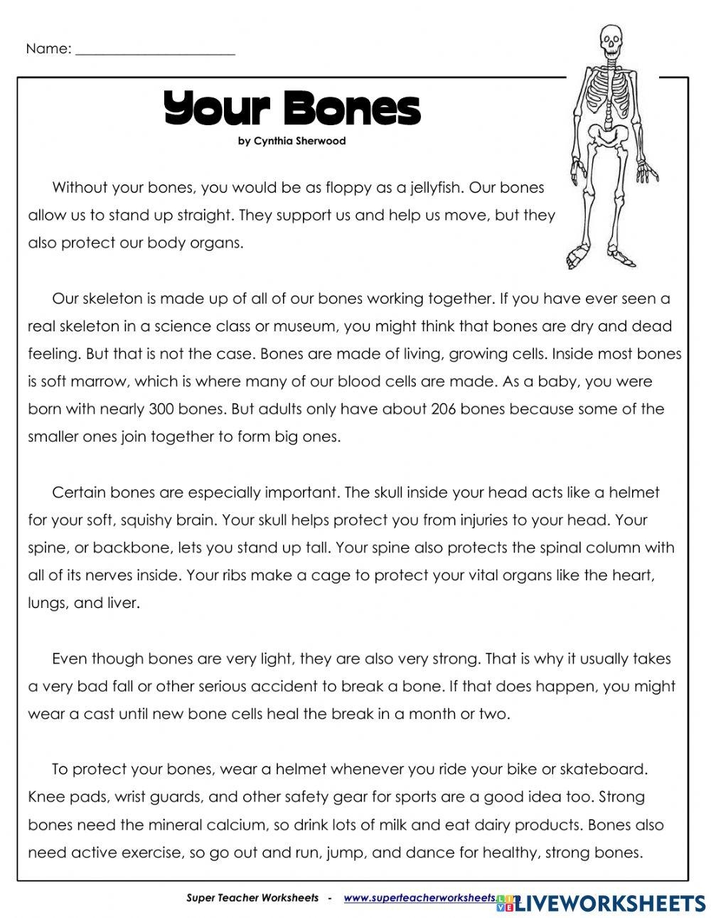 Reading Comprehension Online Exercise For 5 Live Worksheets Worksheets Library Reading Comprehension Online Exercise For 5 Live Worksheets Worksheets Library