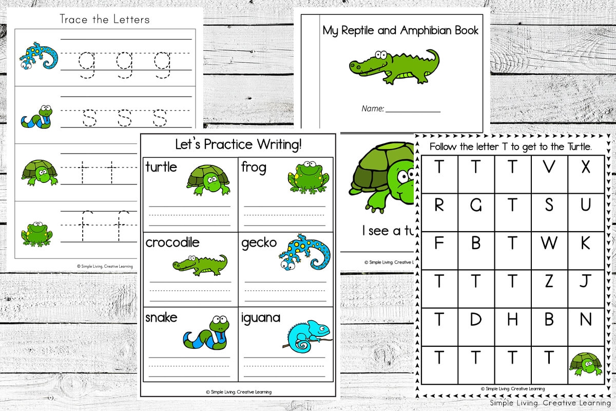 Reptiles And Amphibians Printables Simple Living Creative Learning Reptiles And Amphibians Printables Simple Living Creative Learning