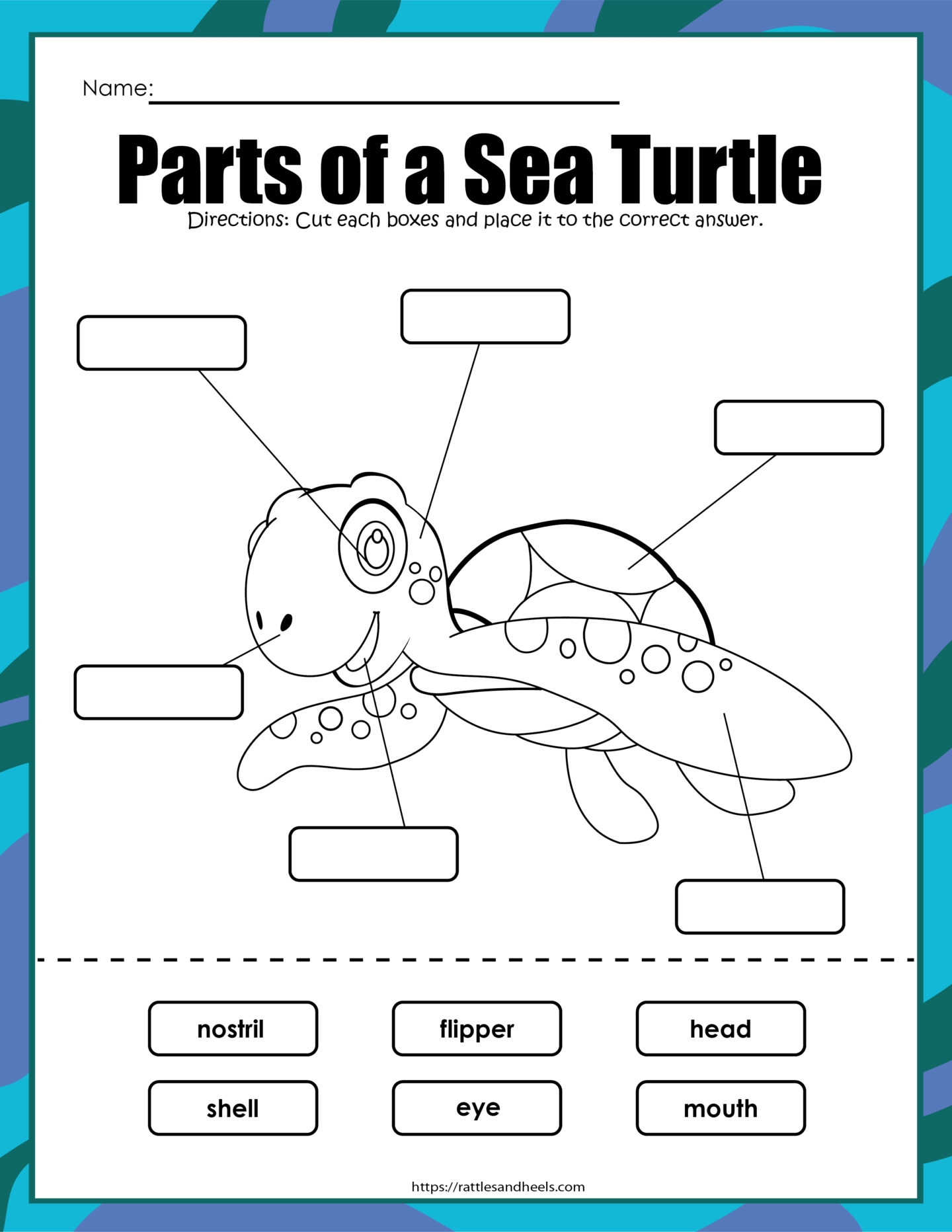 Turtle Preschool Printables