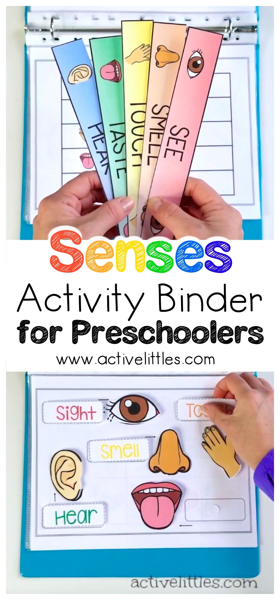 Senses Learning Activity Binder For Preschoolers And Kids Active Littles Senses Learning Activity Binder For Preschoolers And Kids Active Littles