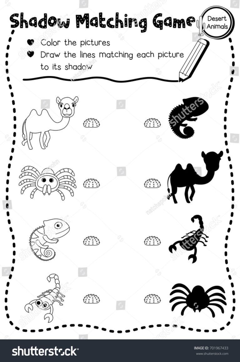 Shadow Matching Game Desert Animals Preschool Stock Vector Royalty Free 701967433 Shutterstock