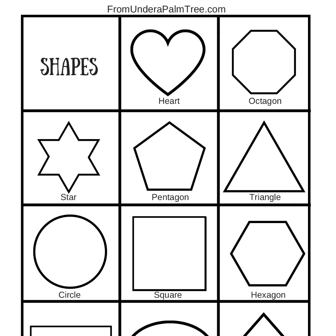 Shape Recognition Activity U003e From Under A Palm Tree Shape Recognition Activity U003e From Under A Palm Tree