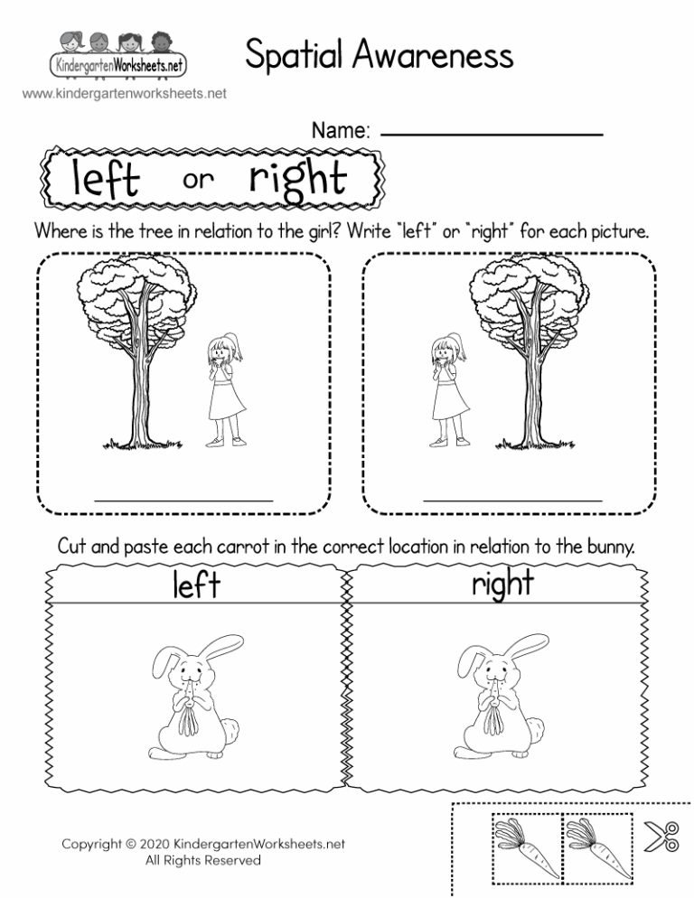 Spatial Concepts Worksheet Free Printable Digital U0026 PDF
