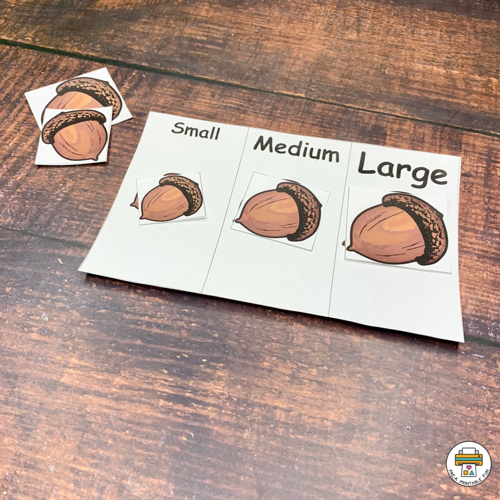 Squirrels U0026 Nuts Activity Pack Pre K Printable Fun