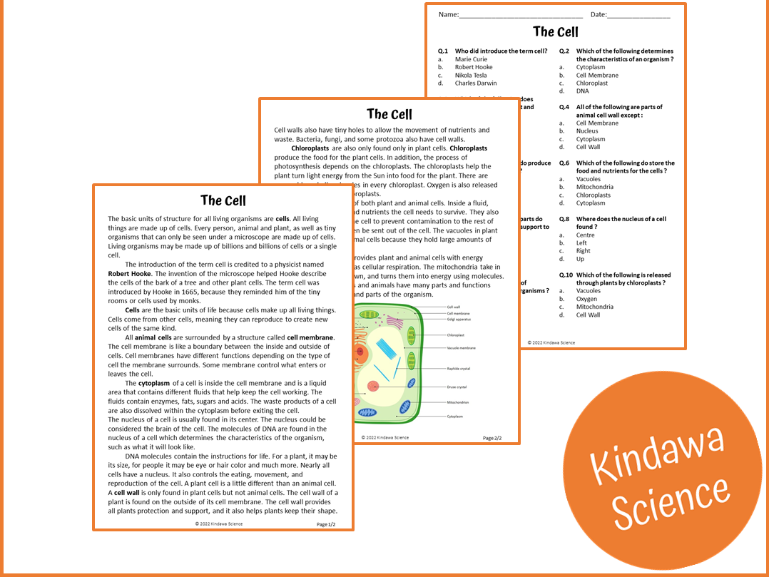 The Cell Reading Comprehension Passage And Questions PDF Teaching Resources The Cell Reading Comprehension Passage And Questions PDF Teaching Resources