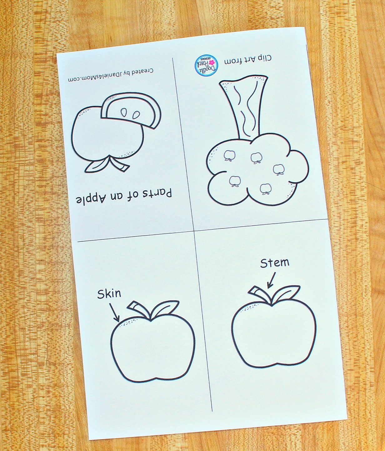 The Parts Of An Apple Printable Read And Color Book The Parts Of An Apple Printable Read And Color Book