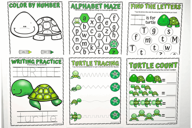 Turtle Worksheets For Preschool Free Printables