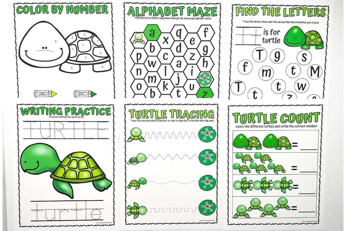 Turtle Worksheets For Preschool Free Printables 