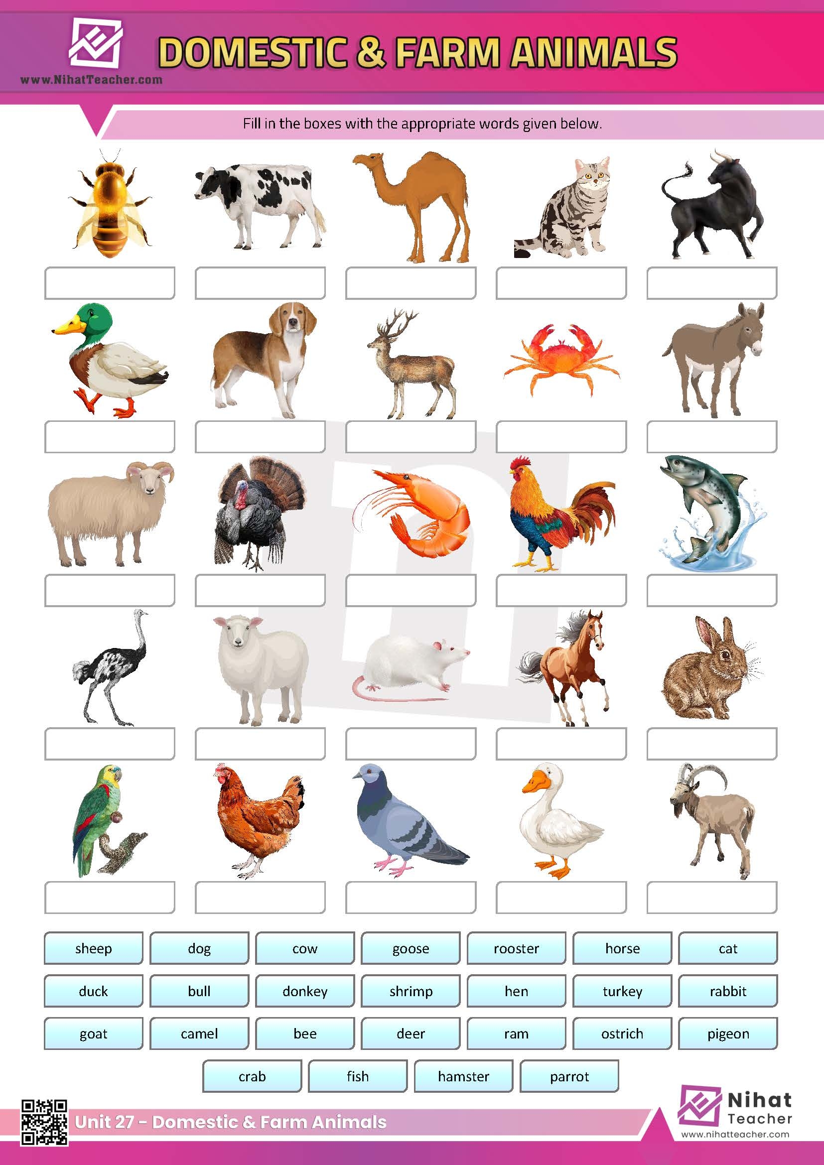 Unit 27 Domestic And Farm Animals Worksheet 1 Free English Learning And Teaching Resources Free PDF Worksheets And Multiple Choice Tests Unit 27 Domestic And Farm Animals Worksheet 1 Free English Learning And Teaching Resources Free PDF Worksheets And Multiple Choice Tests