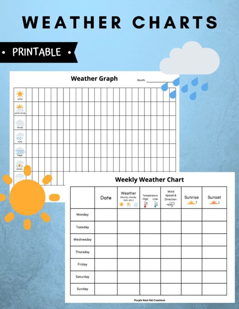 Weather Charts Weather Graph Weather Graph Worksheet Morning Activity Temperature Digital Download Educational Printable Homeschool Etsy
