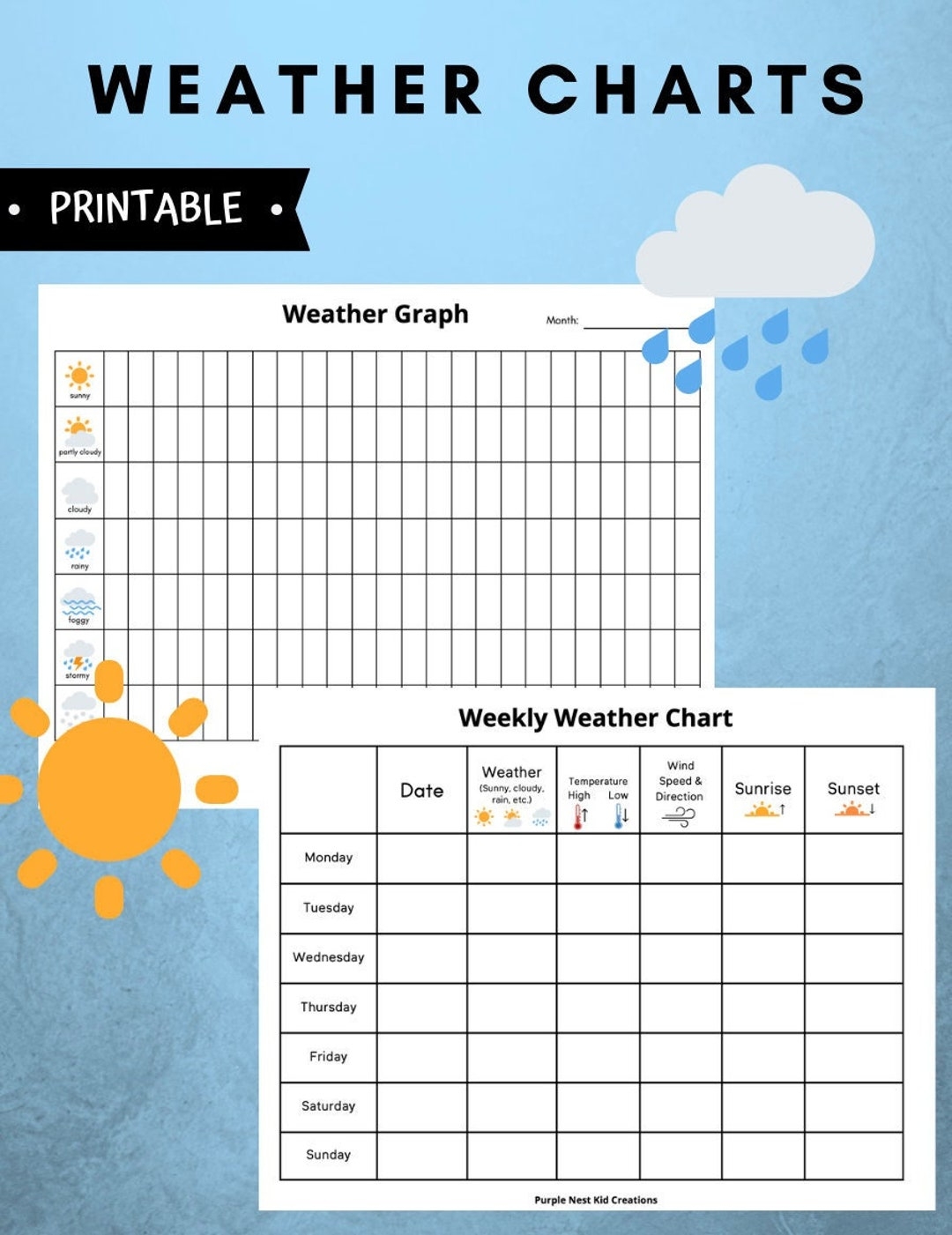 Weather Charts Weather Graph Weather Graph Worksheet Morning Activity Temperature Digital Download Educational Printable Homeschool Etsy