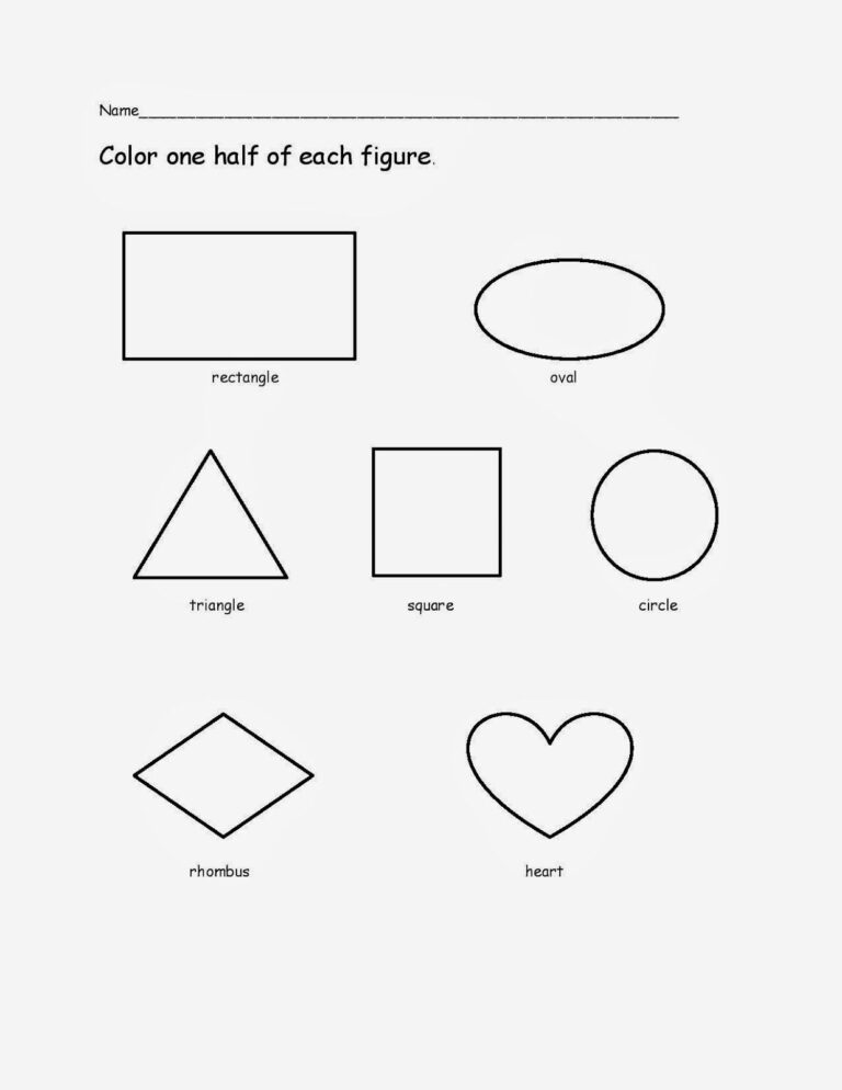 Whole Half And Quarter In Kindergarten