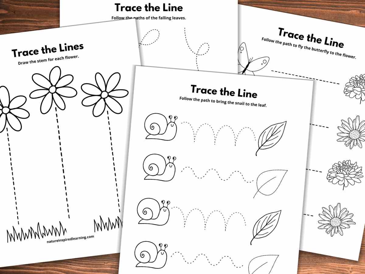 Preschool Printable Drawing Lines