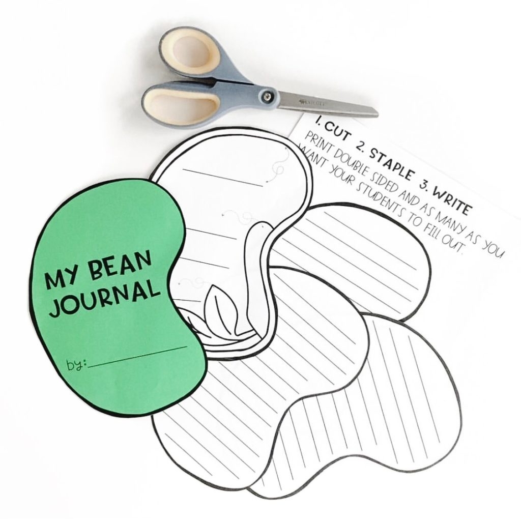 Seed Shapes And Images Preschool Printable