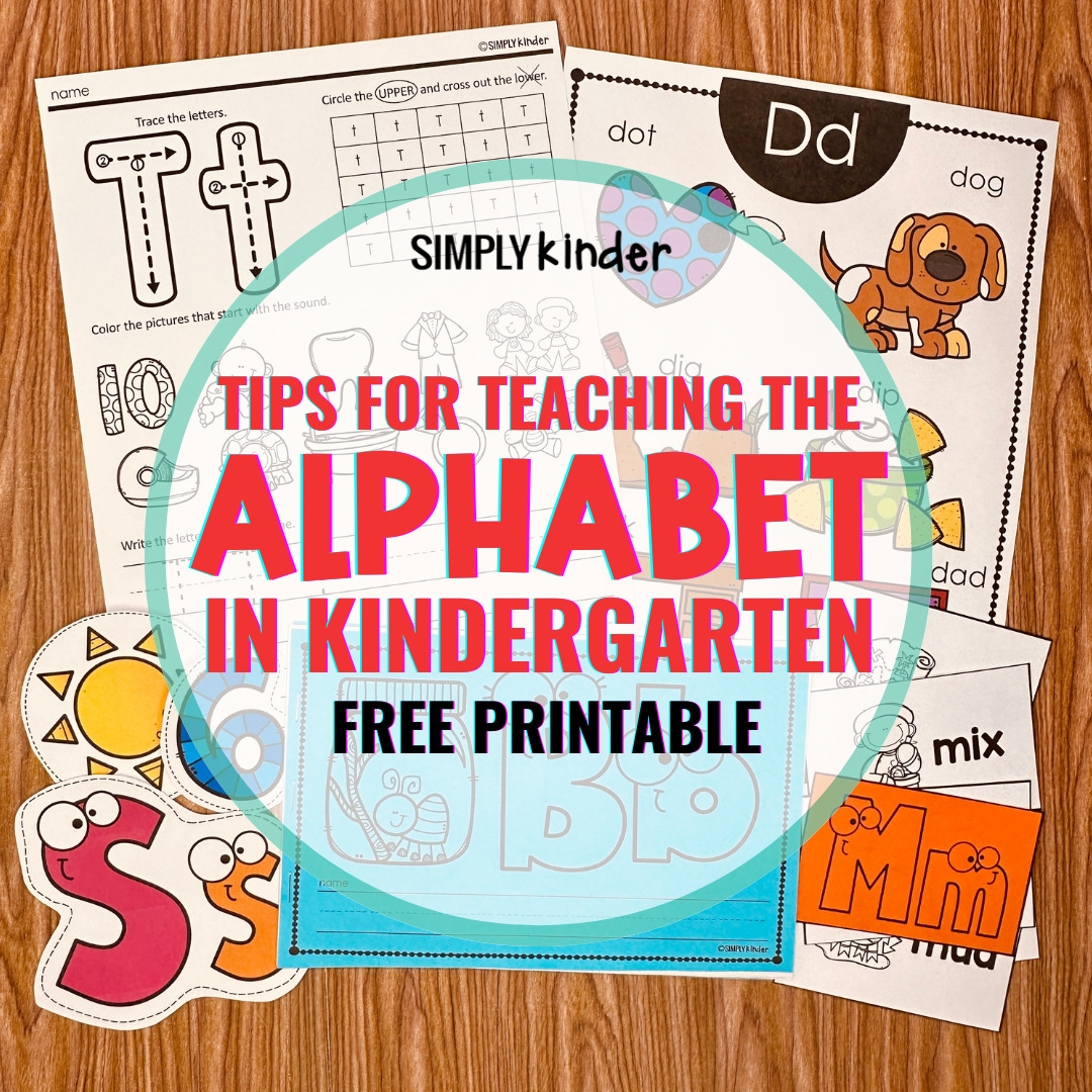 Teacch Tasks Preschool Free Printables