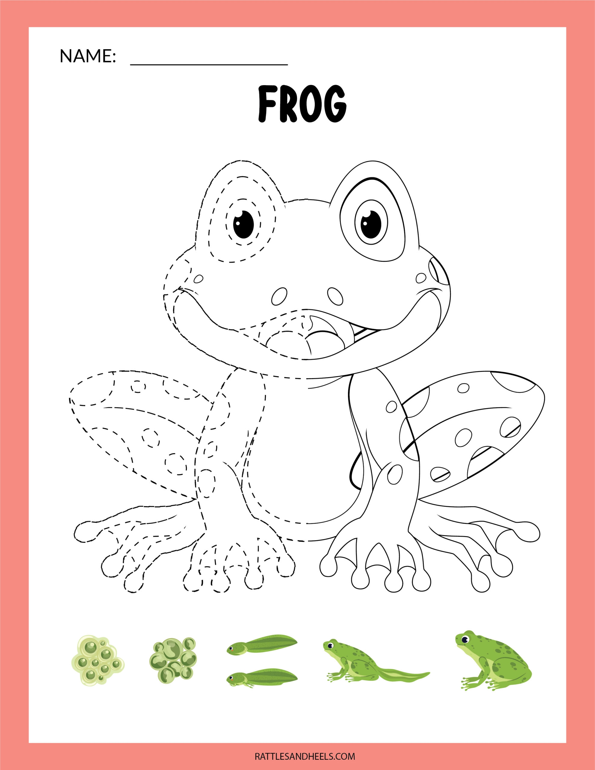 Amphibians Worksheets For Kids Free Printables Adanna Dill Amphibians Worksheets For Kids Free Printables Adanna Dill