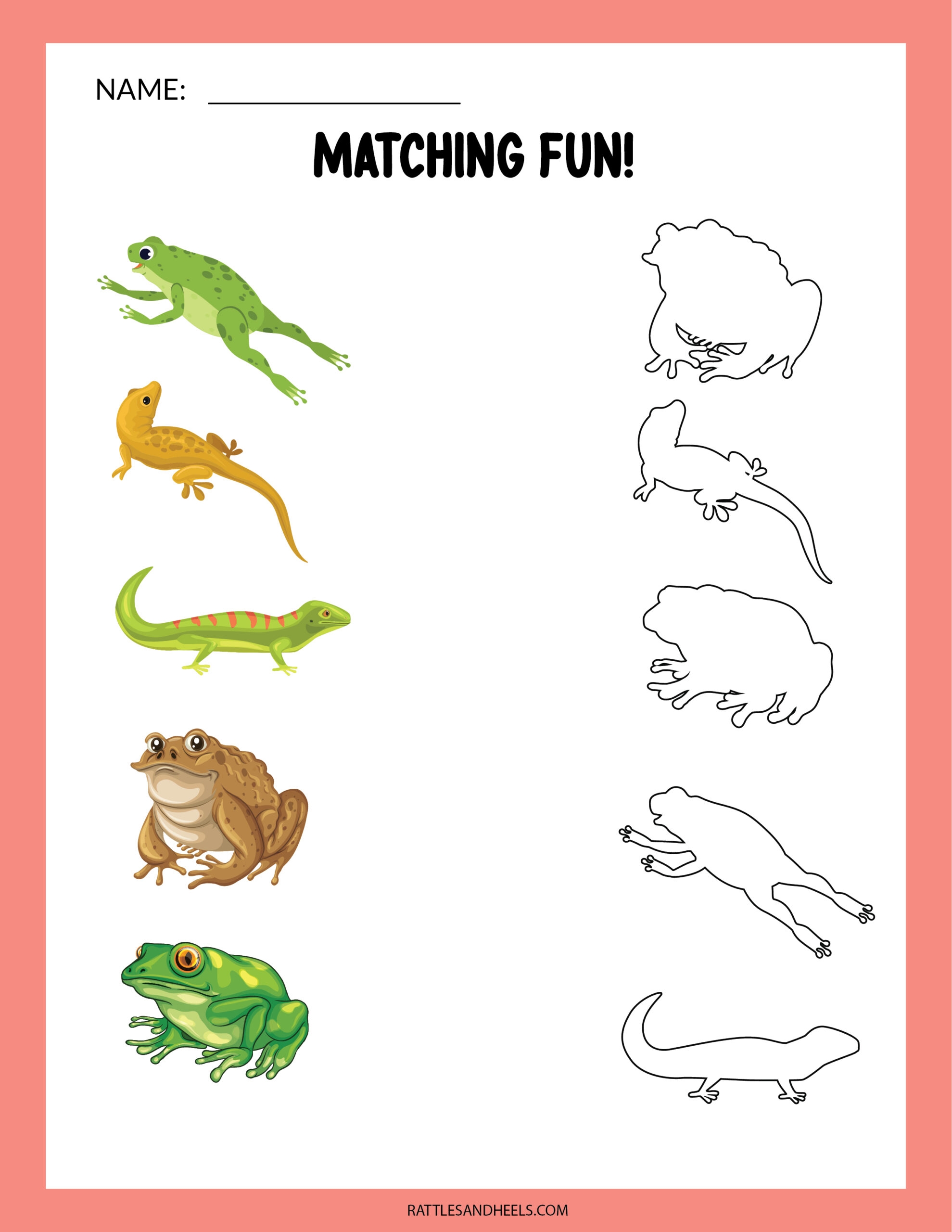 Amphibians Worksheets For Kids Free Printables Adanna Dill Amphibians Worksheets For Kids Free Printables Adanna Dill