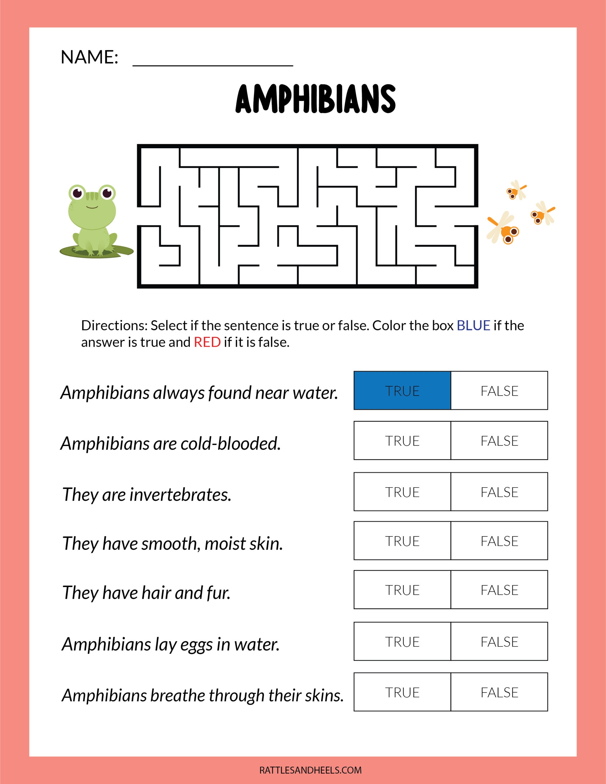 Amphibians Worksheets For Kids Free Printables Adanna Dill Amphibians Worksheets For Kids Free Printables Adanna Dill