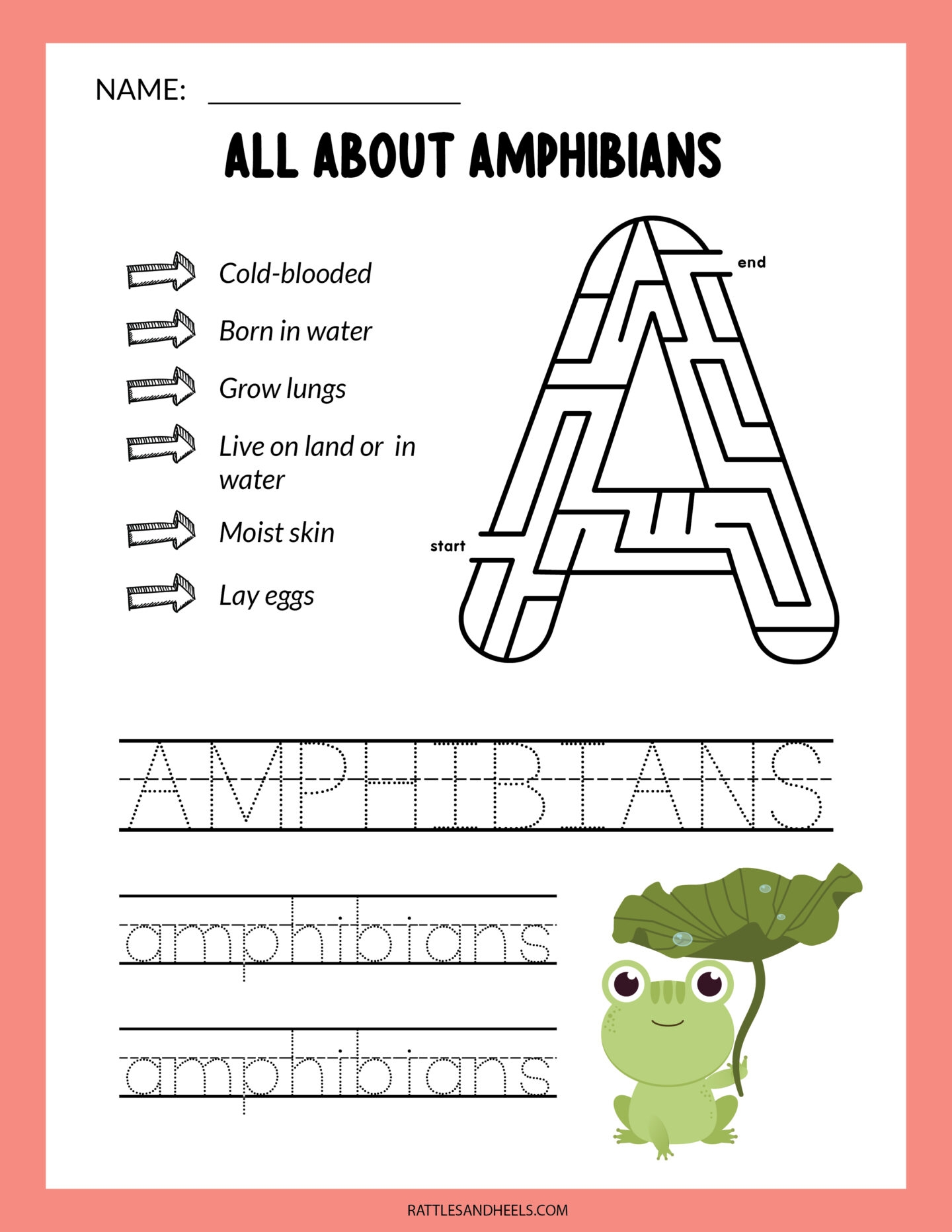 Amphibians Worksheets For Kids Free Printables Adanna Dill Amphibians Worksheets For Kids Free Printables Adanna Dill